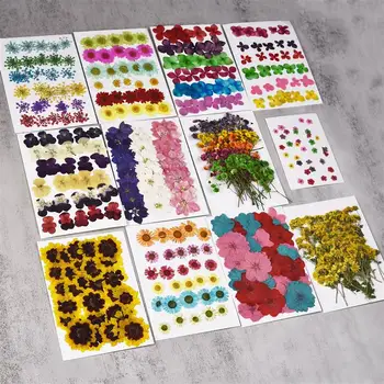 1 Упаковка Сухих цветов, Наклейки с цветами из УФ-смолы, Сухая наклейка Красоты для наполнения ювелирных изделий эпоксидной смолой 